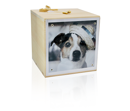 Erinnerungs-Box Branka